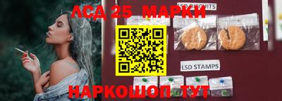 mdpv Малоярославец