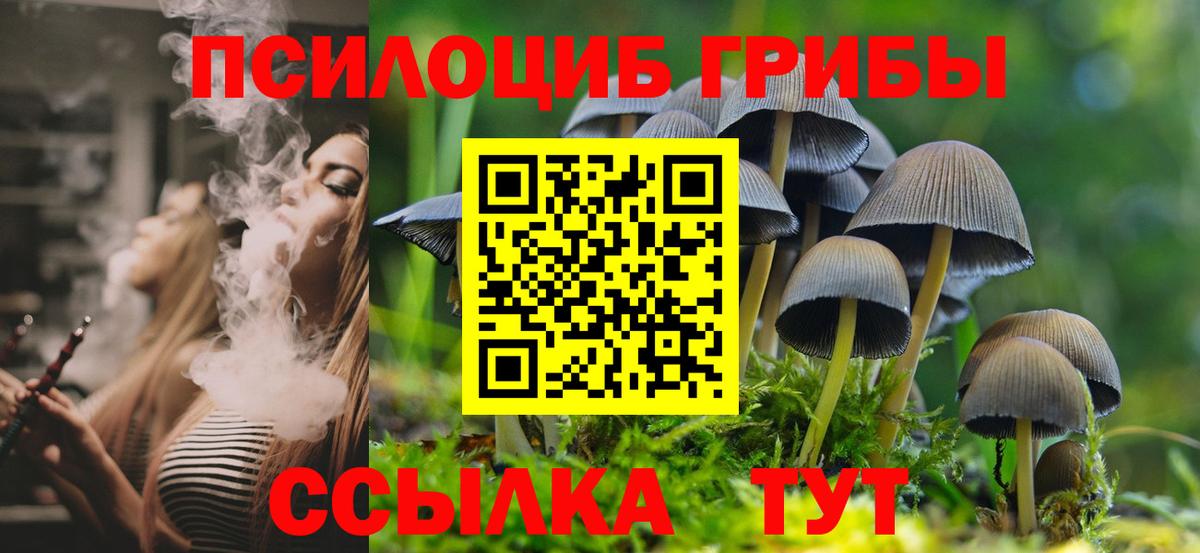 Щёлково  Псилоцибиновые грибы Psilocybine cubensis  где можно купить   Вход с VPN 